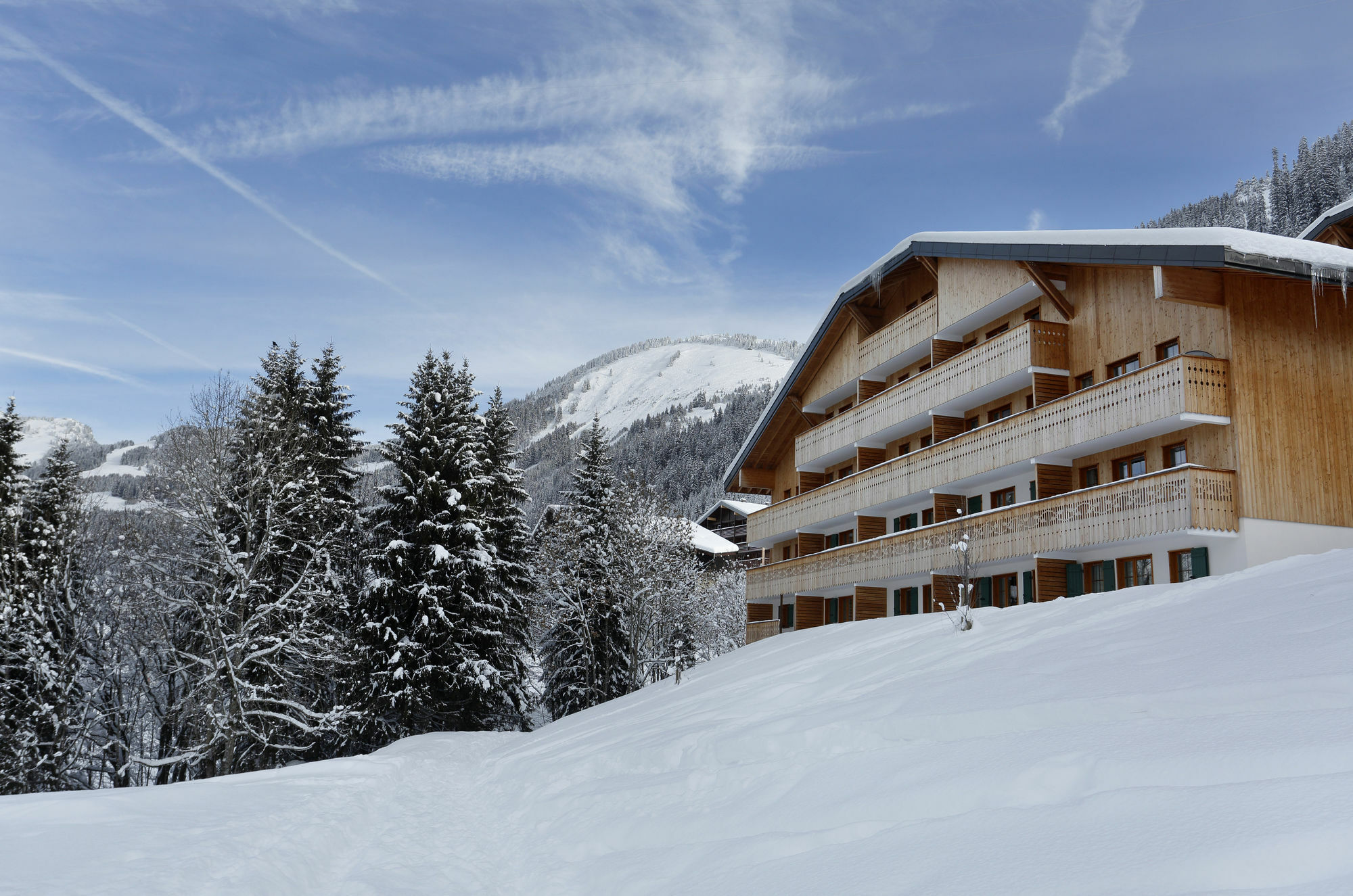 Residence Nemea Le Grand Lodge 沙泰勒 外观 照片